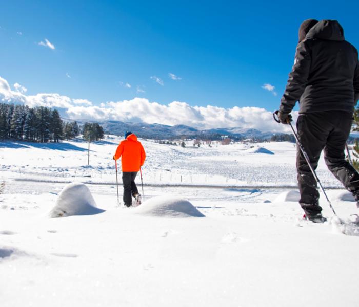 Escursione con le ciaspole in Sila