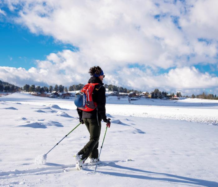 Escursione di snow trekking in Sila