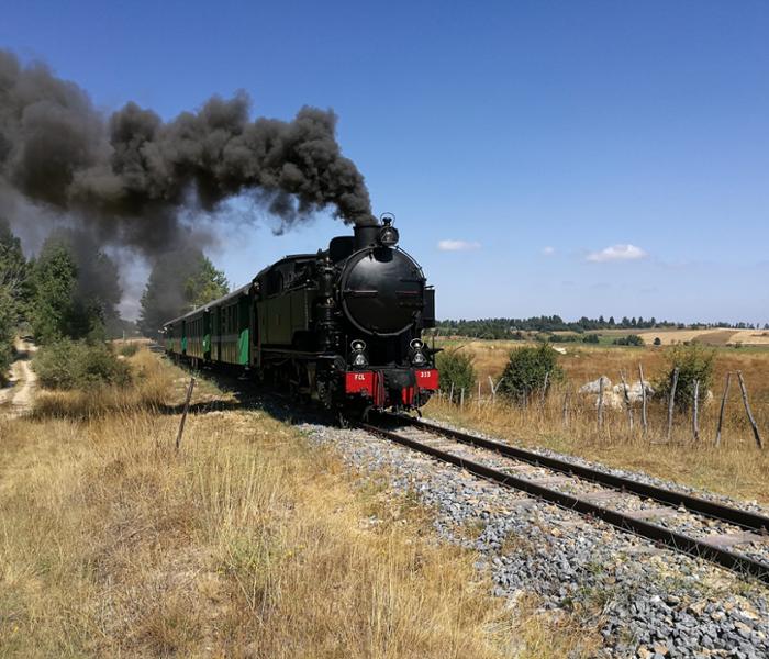 Treno Storico della Sila