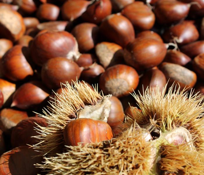 Sagra della Castagna 2025