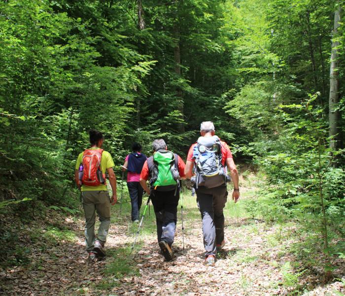 Trekking nel Parco Nazionale della Sila