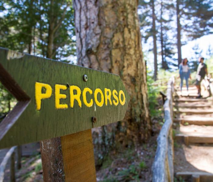 Riserva Giganti della Sila