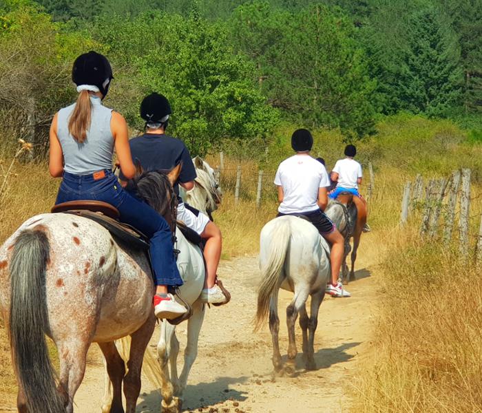 Escursione a cavallo nel Parco Nazionale della Sila
