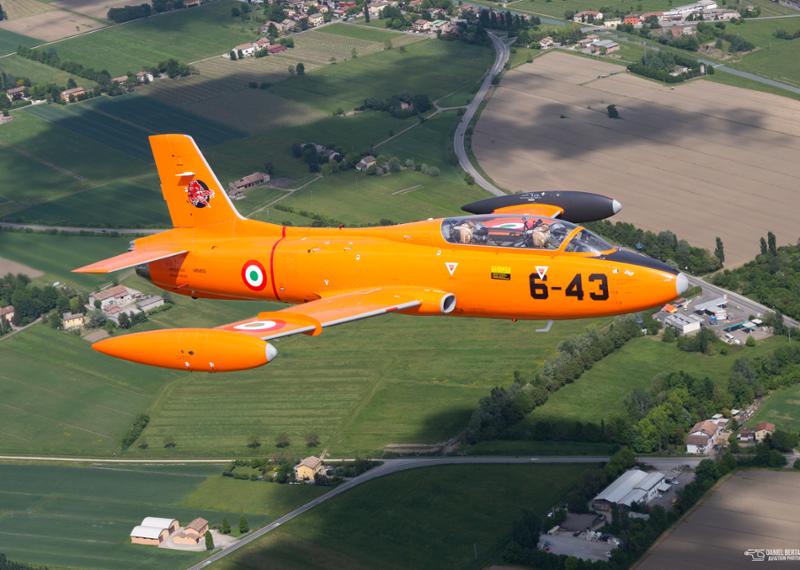 Spotter of the week - Daniel Bertgnolli