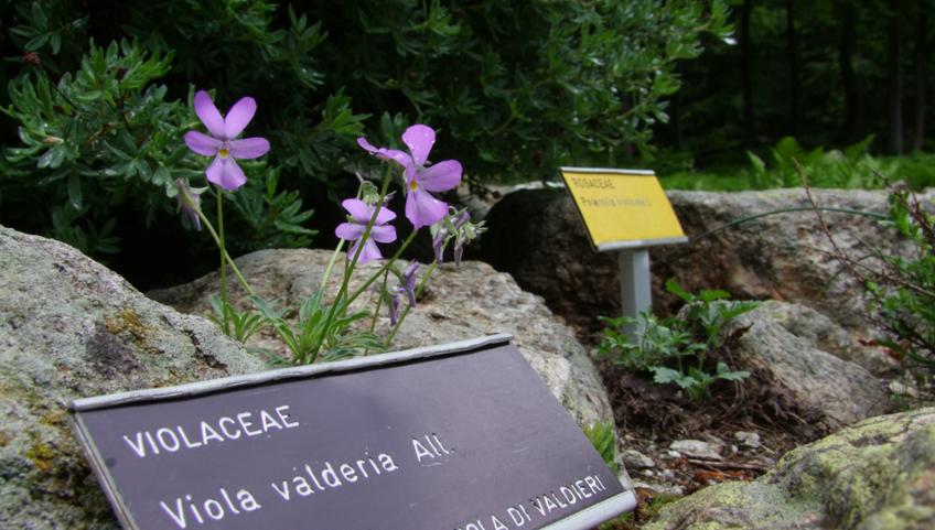 GIARDINO BOTANICO VALDERIA
