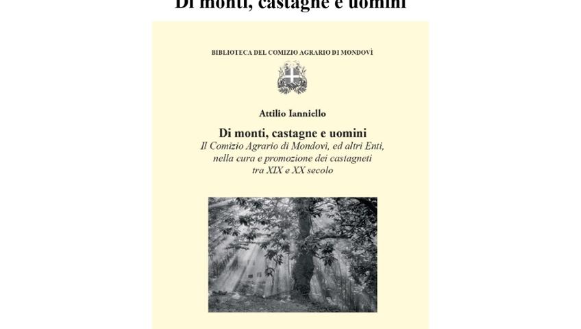 DI MONTI, CASTAGNE E UOMINI
