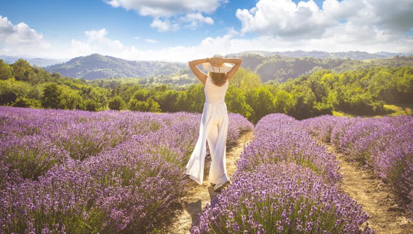 LAVANDA A SALE SAN GIOVANNI