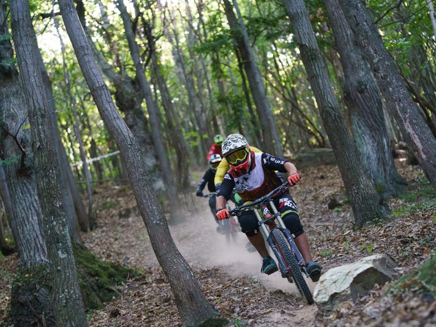 Bike Park Viola St. Gréé