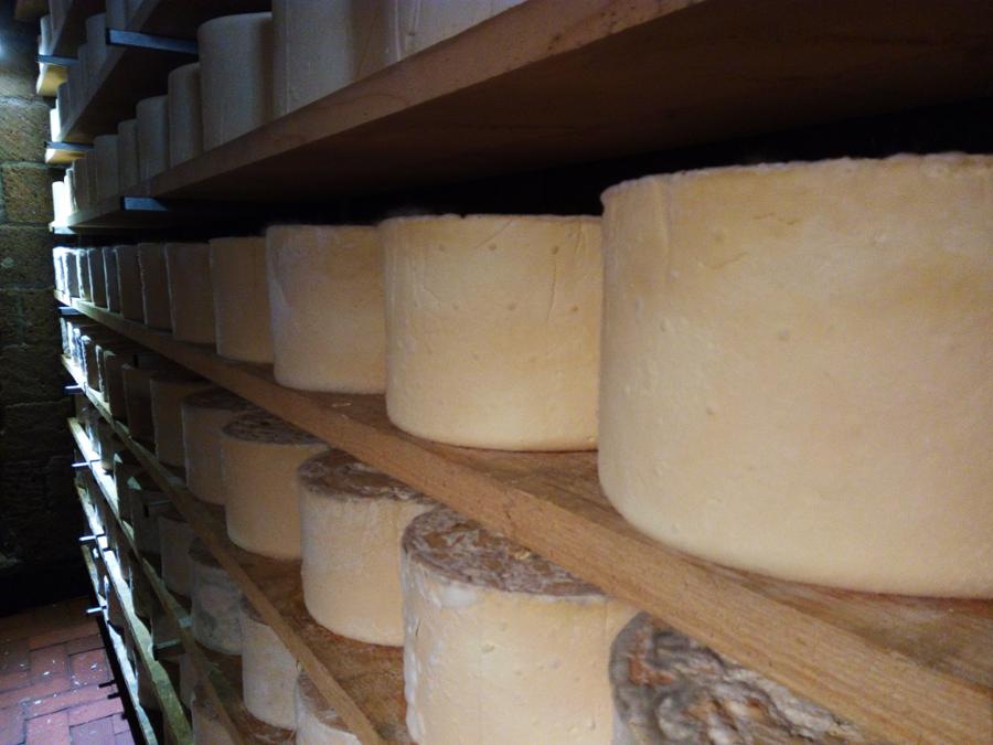 4 SFIZIOSI FORMAGGI DELLE MONTAGNE CUNEESI - visitcuneese