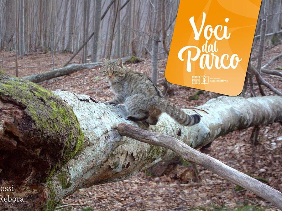 Foto di P. Rossi e N. Rebora